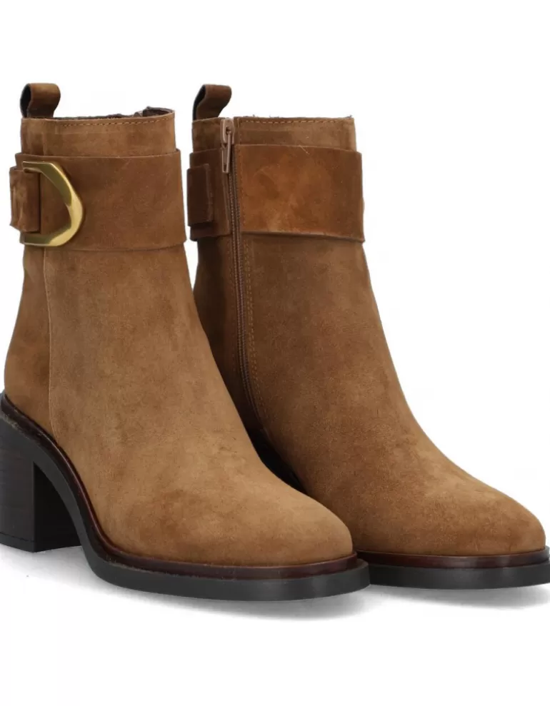Alpe Botines^ Evolet
